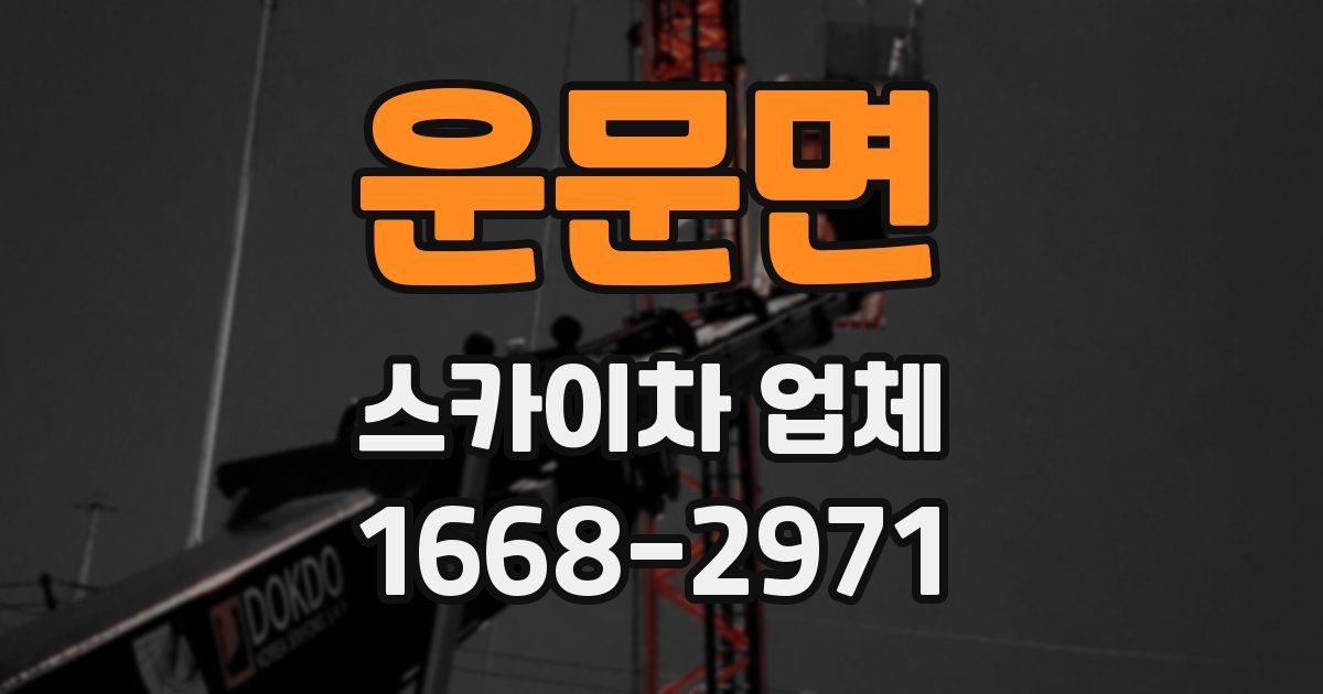 운문면 스카이차 업체