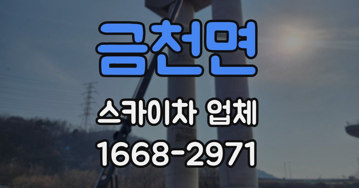 금천면 스카이차 업체