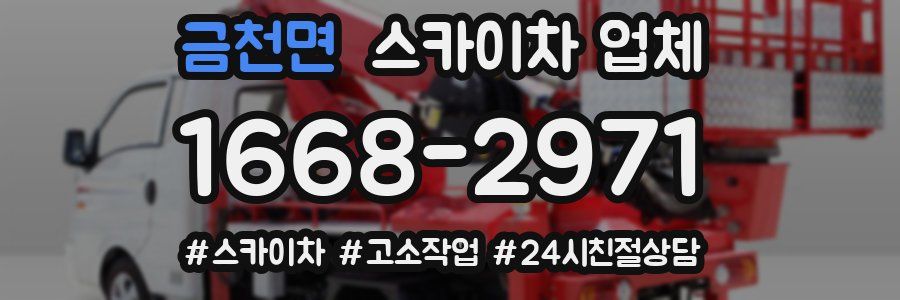 금천면 스카이차 업체