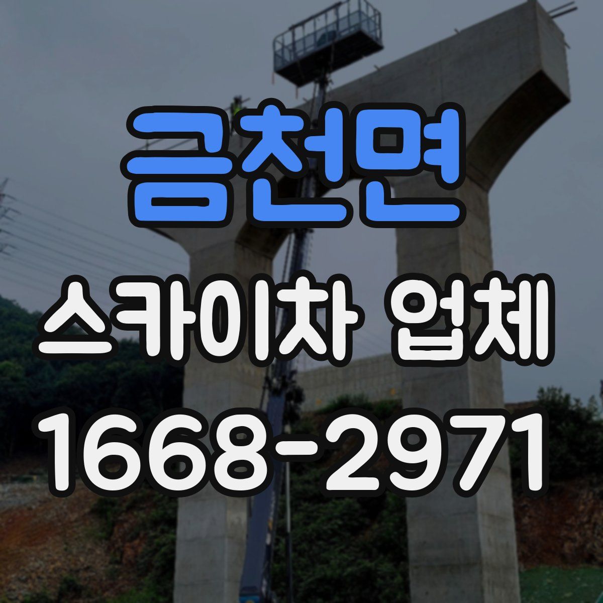 금천면 스카이차 업체