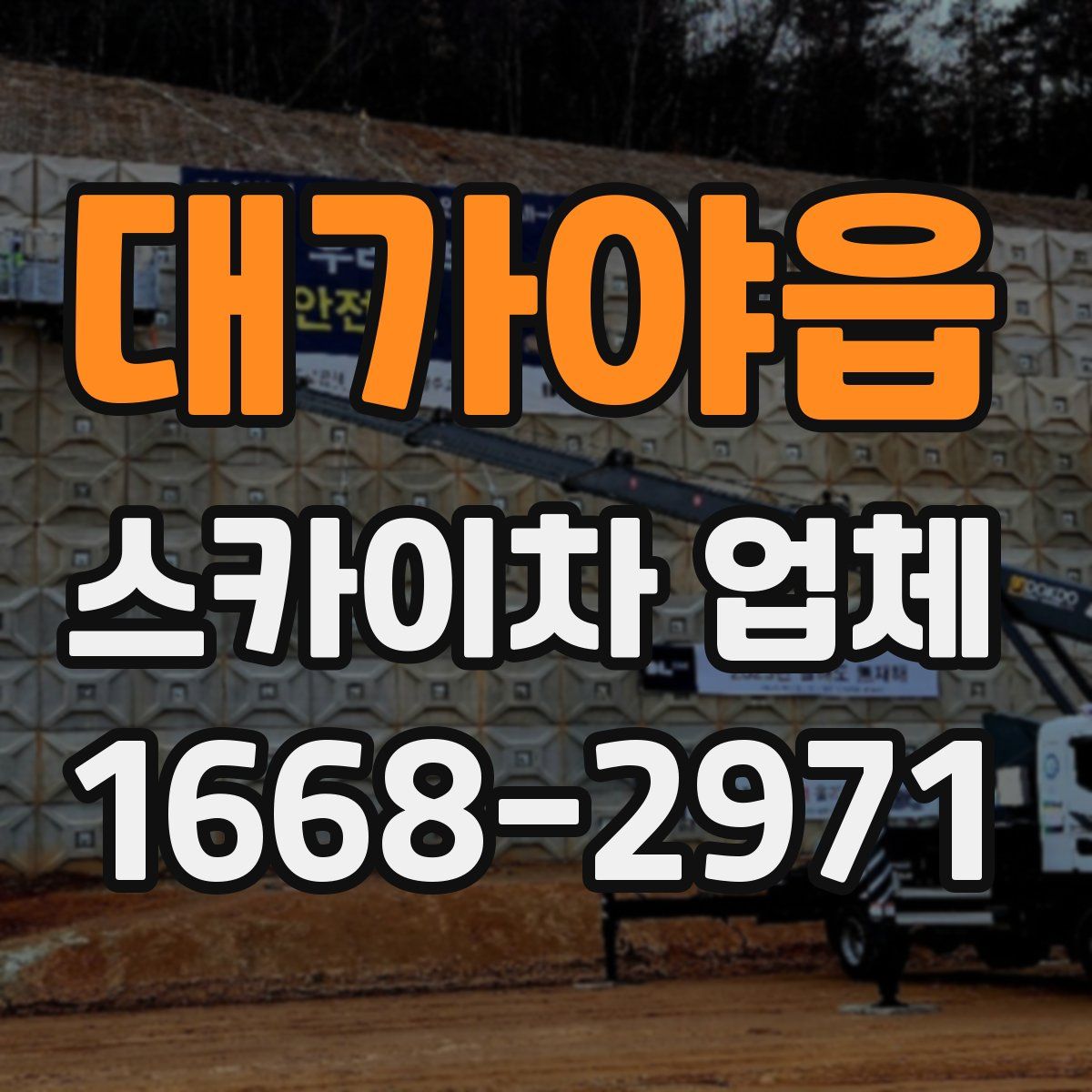 대가야읍 스카이차 업체