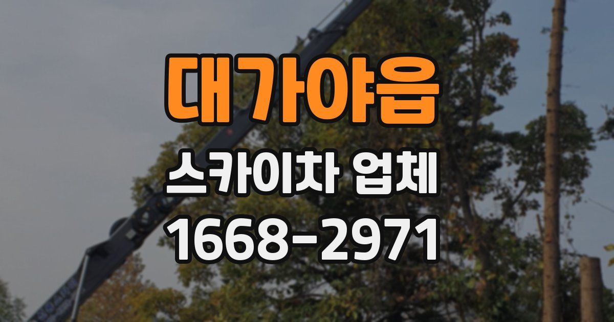 대가야읍 스카이차 업체