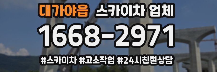 대가야읍 스카이차 업체