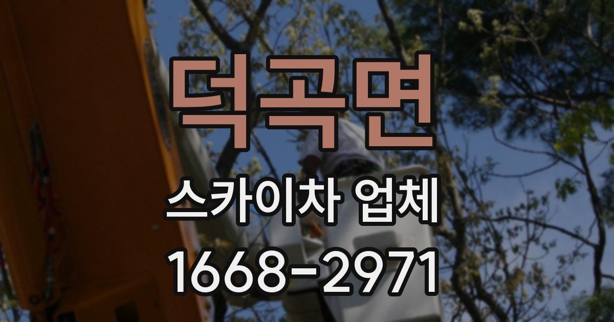 덕곡면 스카이차 업체