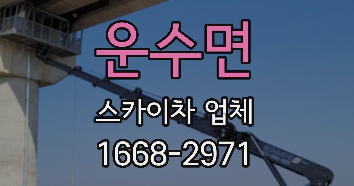운수면 스카이차 업체