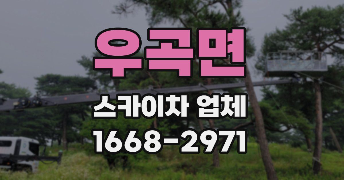 우곡면 스카이차 업체