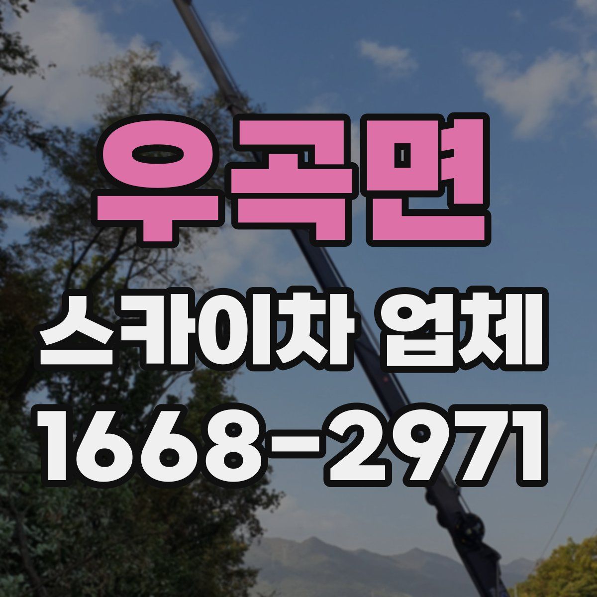 우곡면 스카이차 업체