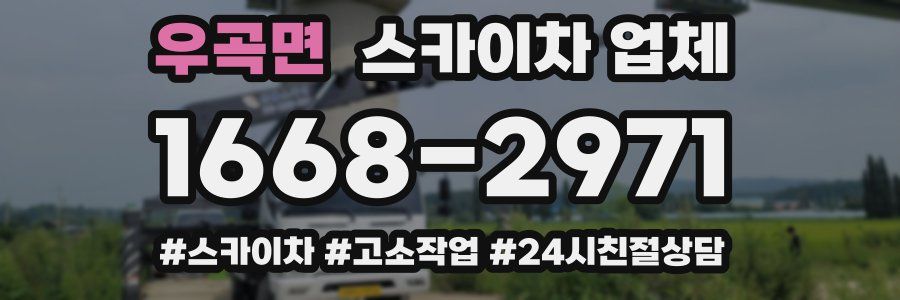 우곡면 스카이차 업체