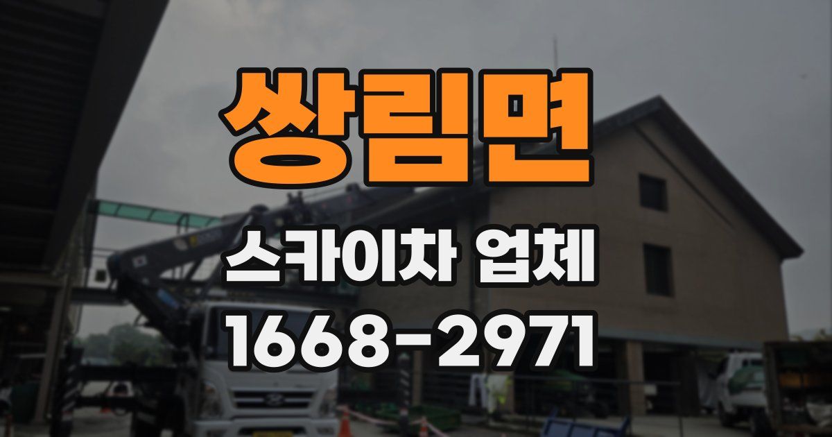 쌍림면 스카이차 업체