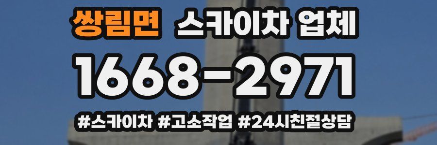 쌍림면 스카이차 업체