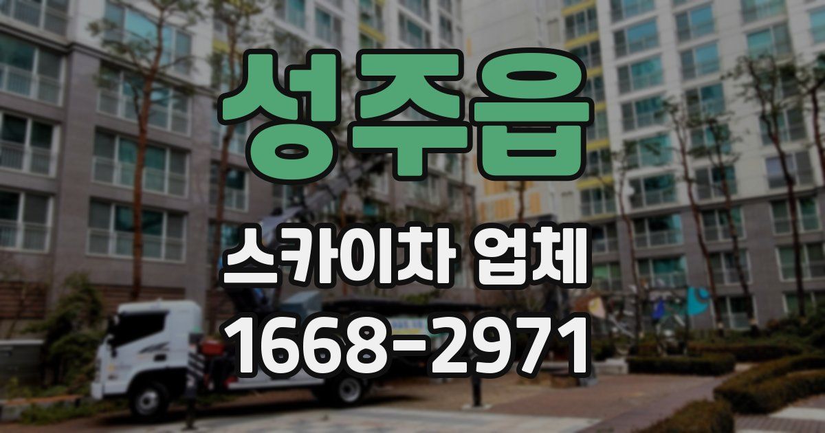 성주읍 스카이차 업체