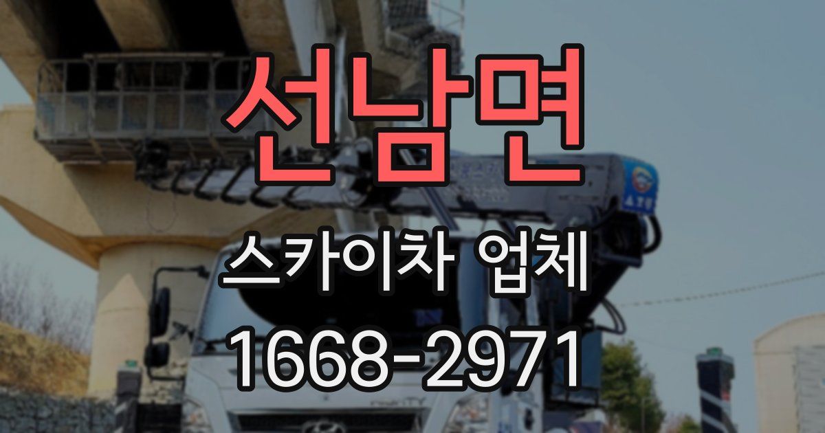 선남면 스카이차 업체