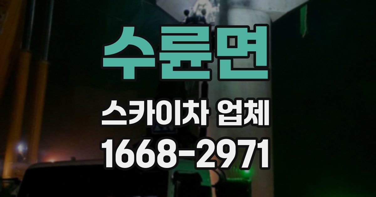수륜면 스카이차 업체