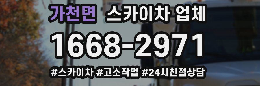 가천면 스카이차 업체