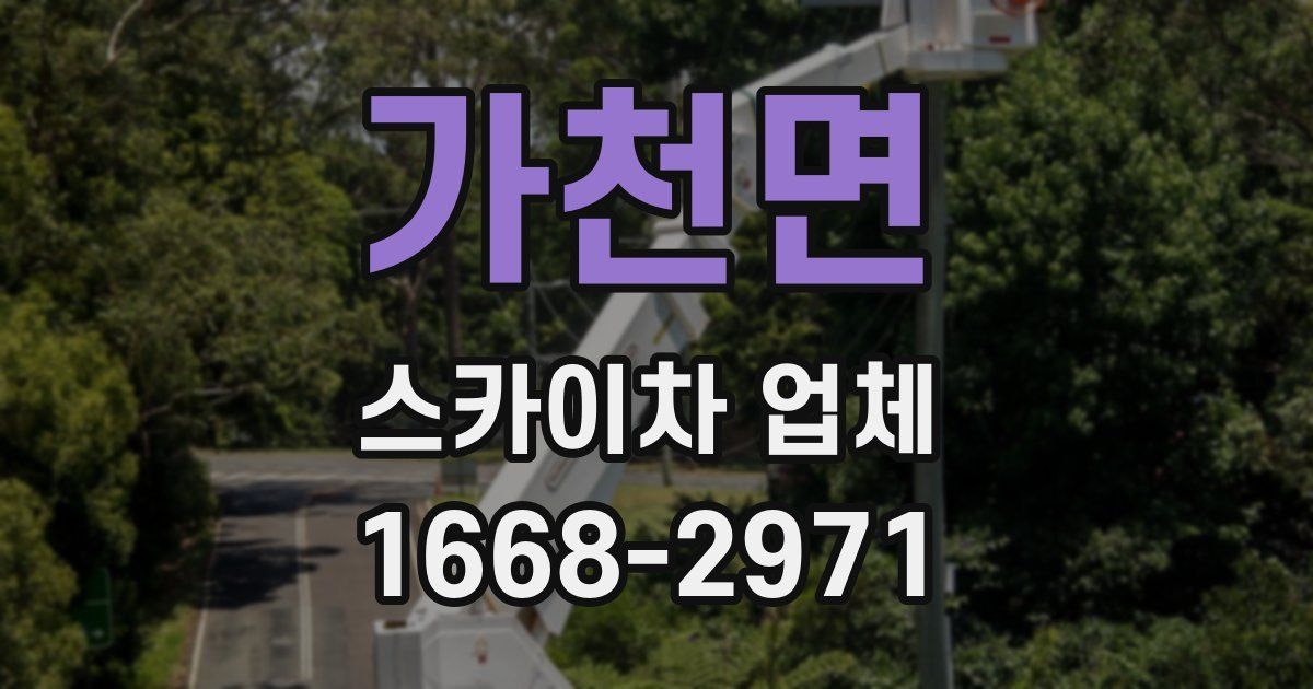 가천면 스카이차 업체