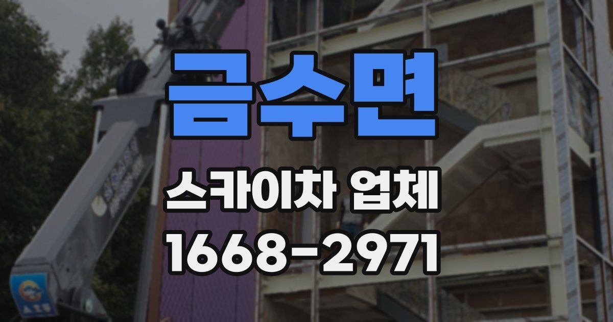 금수면 스카이차 업체