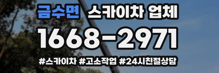 금수면 스카이차 업체