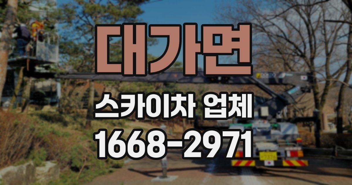 대가면 스카이차 업체