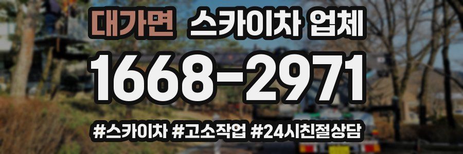 대가면 스카이차 업체