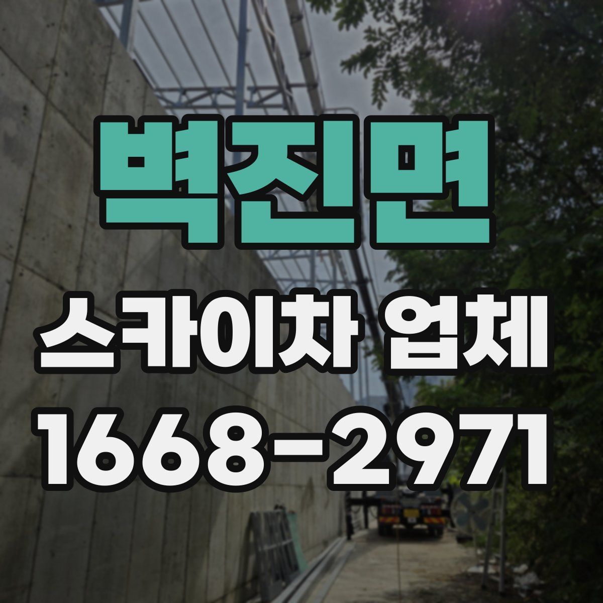 벽진면 스카이차 업체