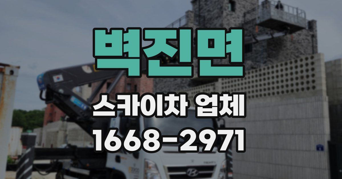 벽진면 스카이차 업체