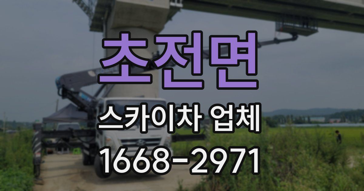 초전면 스카이차 업체