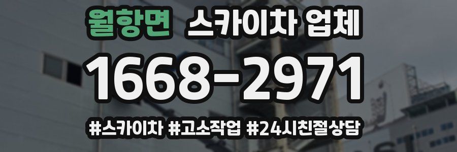 월항면 스카이차 업체