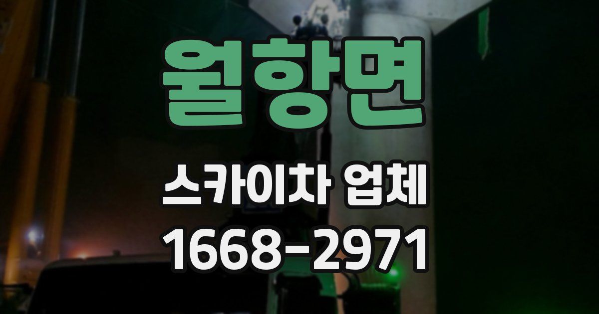 월항면 스카이차 업체