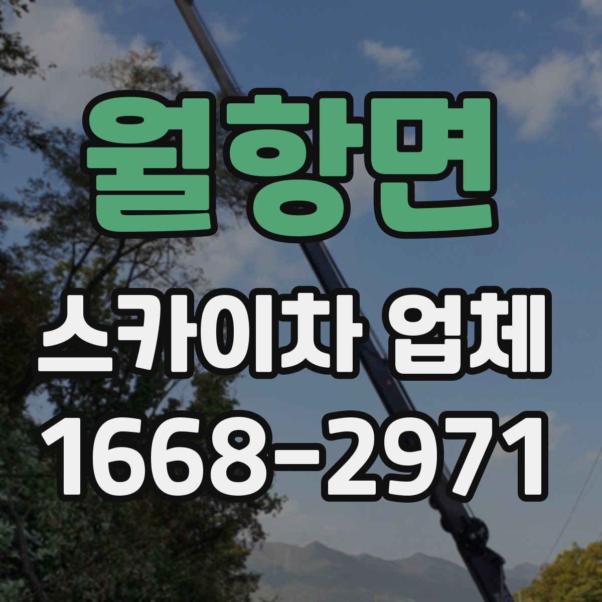 월항면 스카이차 업체