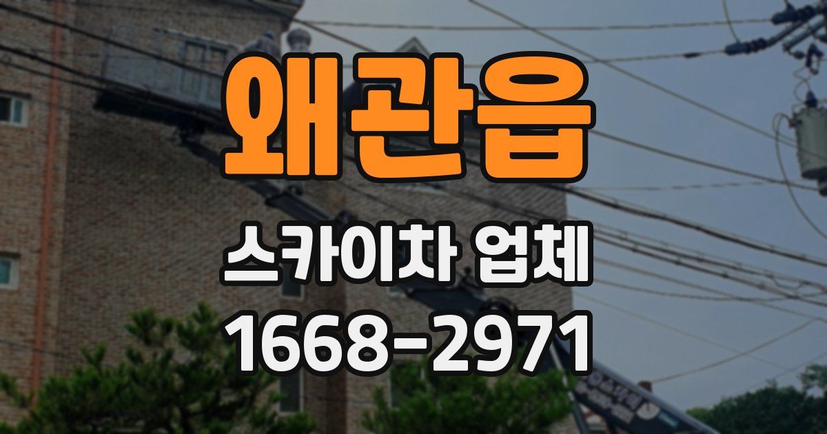 왜관읍 스카이차 업체