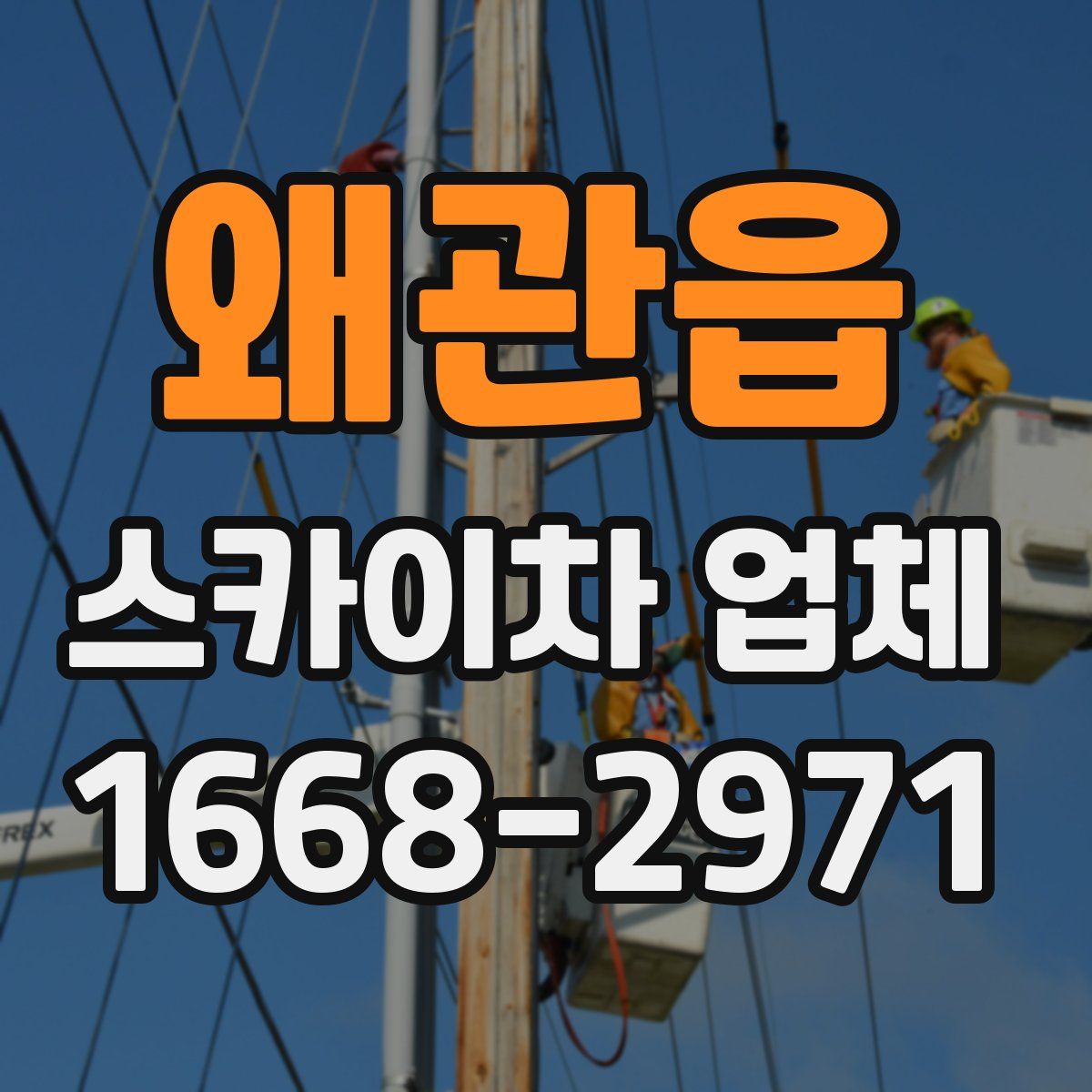 왜관읍 스카이차 업체