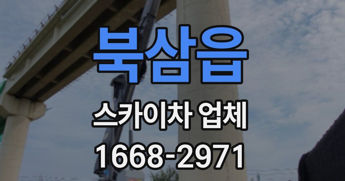 북삼읍 스카이차 업체