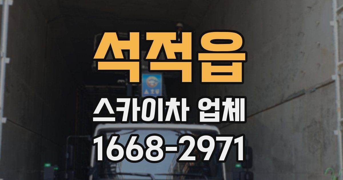 석적읍 스카이차 업체