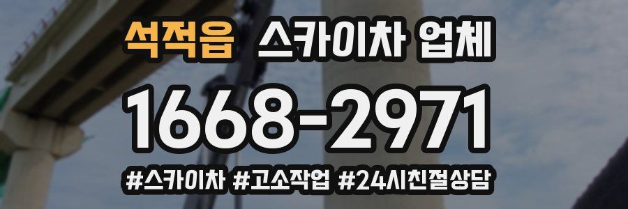 석적읍 스카이차 업체