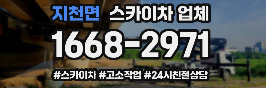 지천면 스카이차 업체