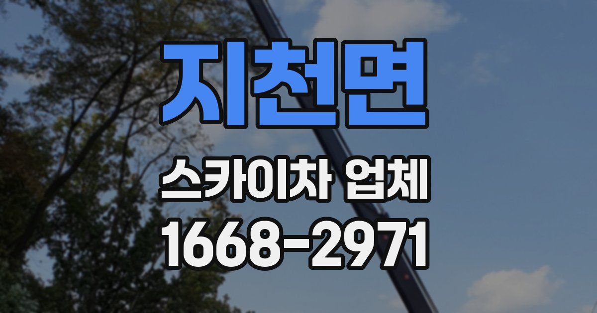 지천면 스카이차 업체
