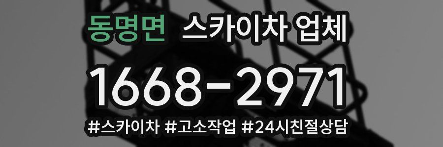 동명면 스카이차 업체