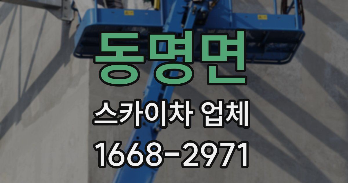 동명면 스카이차 업체