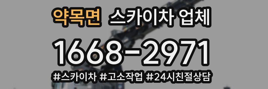 약목면 스카이차 업체