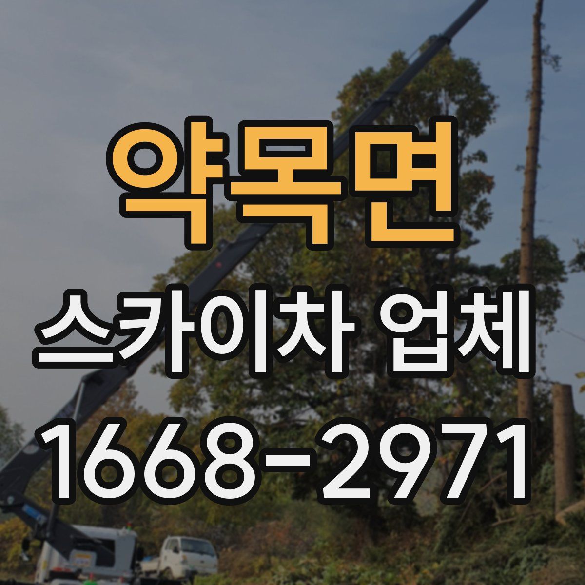 약목면 스카이차 업체