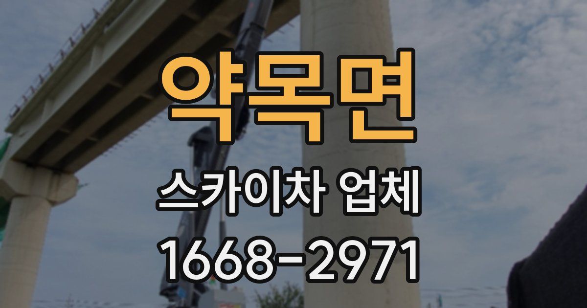 약목면 스카이차 업체