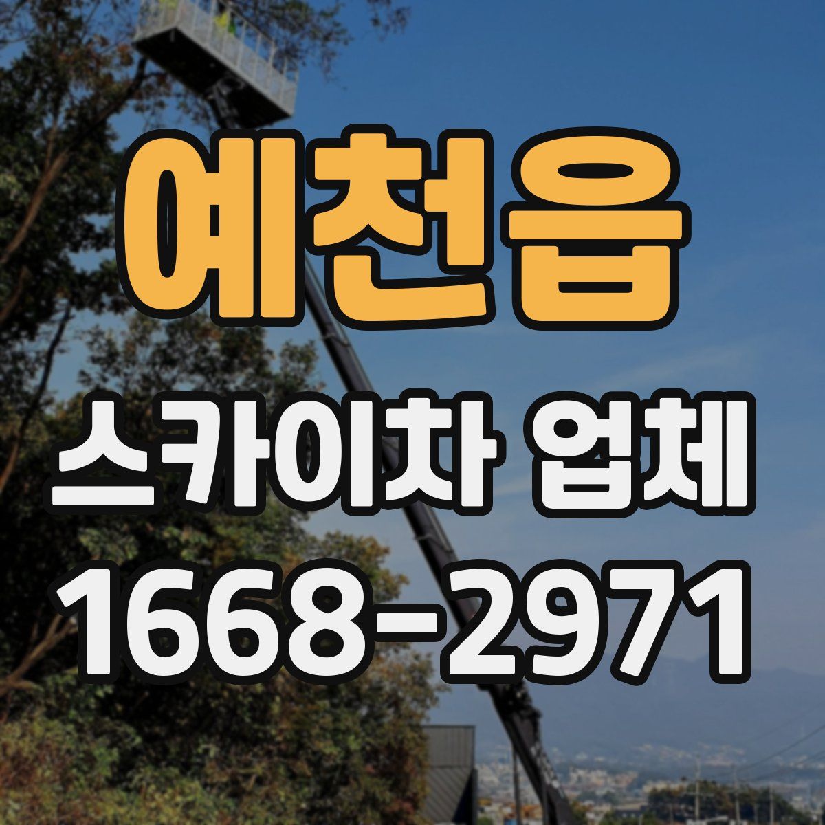 예천읍 스카이차 업체