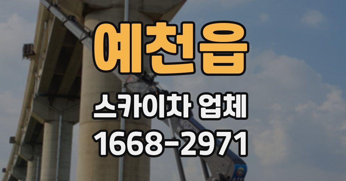 예천읍 스카이차 업체