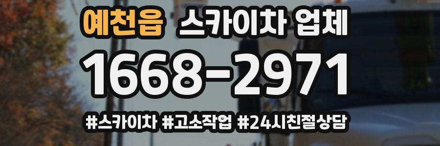 예천읍 스카이차 업체