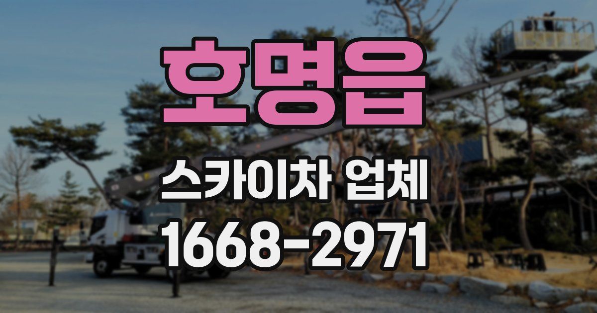 호명읍 스카이차 업체