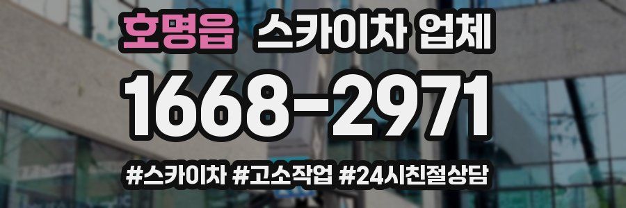 호명읍 스카이차 업체