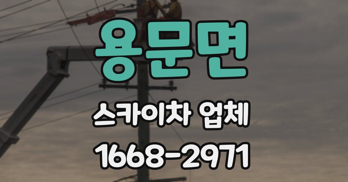용문면 스카이차 업체