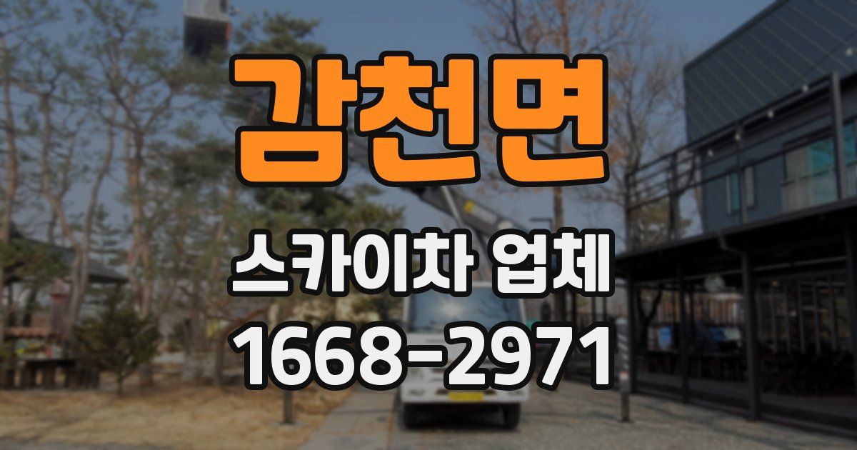 감천면 스카이차 업체