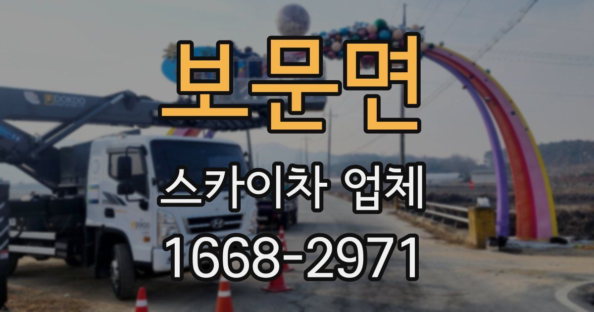 보문면 스카이차 업체
