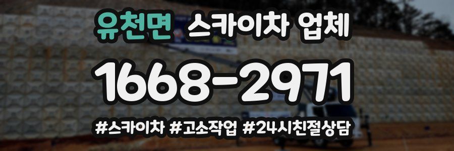 유천면 스카이차 업체